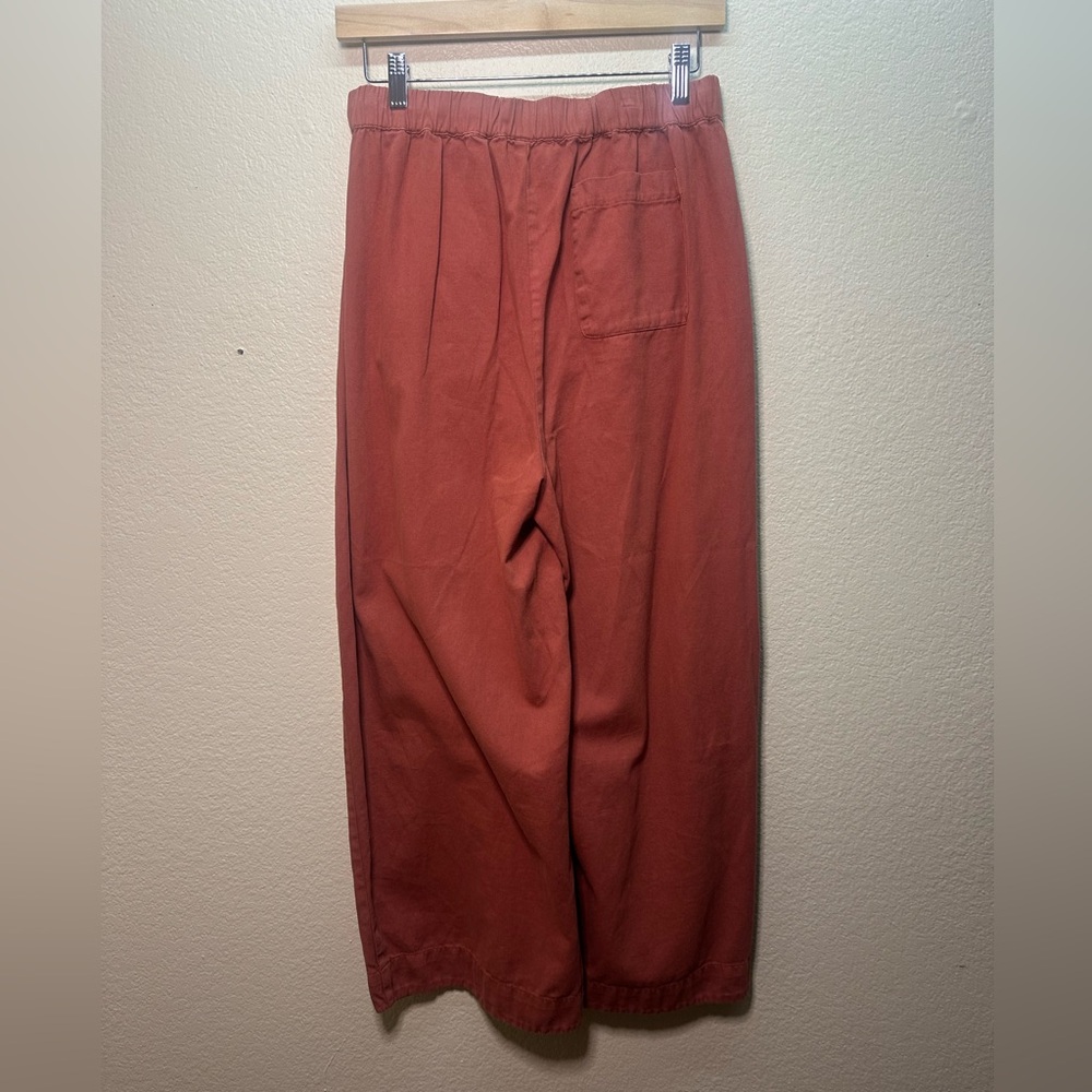 Free People Day in the Life Slouchy Pleated Barrel Burnt Henna Boho Pants XS - Picture 4 of 7